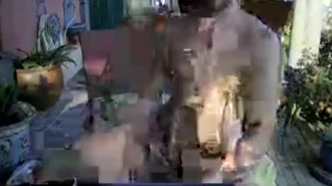 Snapshot of galleguin1 chatting on June 13, 6:39 pm galleguin1 online show from June 13, 6:39 pm