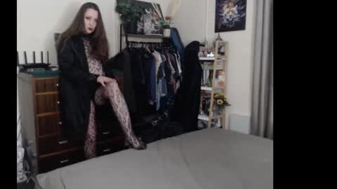 HOT  online show from November 8, 12:16 pm