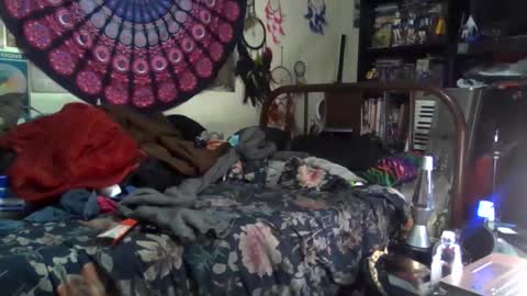 Gardenia online show from December 17, 4:51 am