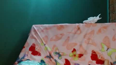 estrella online show from November 10, 9:52 am