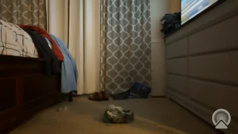 Snapshot of gavroche7 chatting on January 8, 6:37 am gavroche7 online show from January 8, 6:37 am