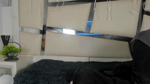 Genesis online show from November 17, 3:34 am