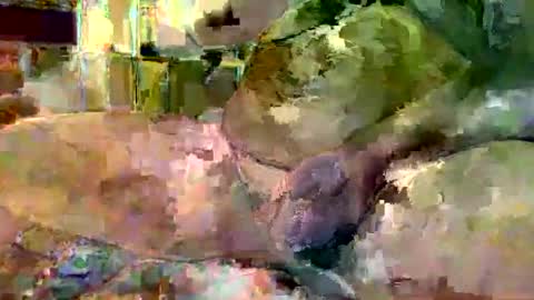 gergokertesz online show from January 16, 3:02 am