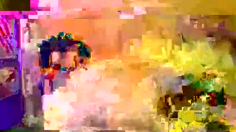 gergokertesz online show from November 15, 3:59 am