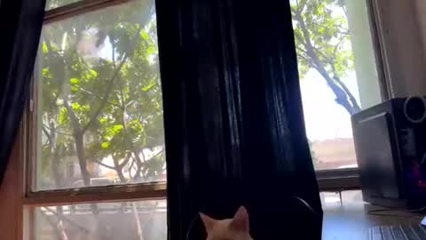 Snapshot of gerson229 chatting on October 23, 1:21 pm gerson229 online show from October 23, 1:21 pm