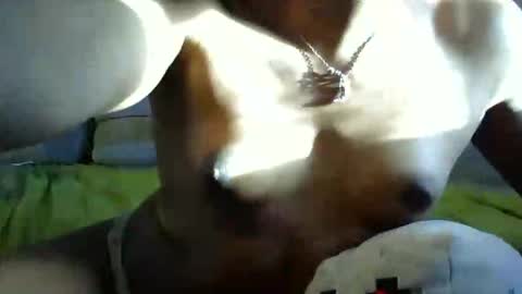 ghastgirlt_t online show from October 13, 10:10 pm