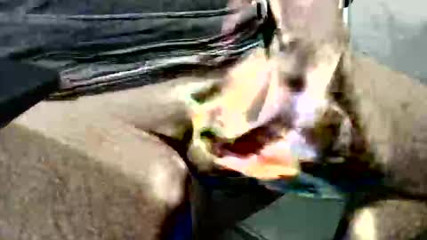 ghost1805 online show from October 14, 3:51 am