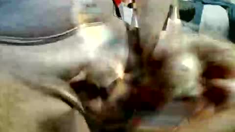 ghost1805 online show from November 20, 10:53 pm