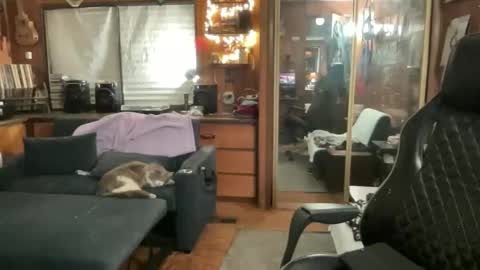 ghostboygbc online show from March 17, 3:33 am