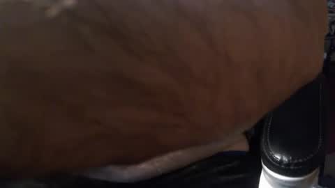 Snapshot of gianni9000000 chatting on February 5, 2:43 pm Gianni9000000 online show from February 5, 2:43 pm