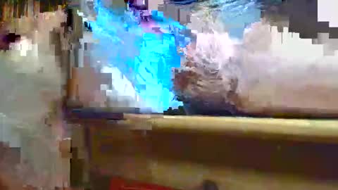 Ptite bite online show from November 1, 8:55 pm