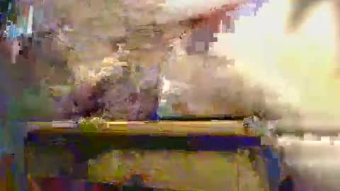 Ptite bite online show from December 1, 1:38 pm