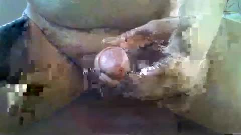 Snapshot of girafsnoop chatting on November 22, 9:08 am girafsnoop online show from November 22, 9:08 am