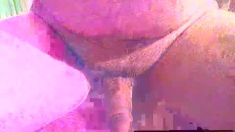 Snapshot of girafsnoop chatting on December 1, 4:01 pm girafsnoop online show from December 1, 4:01 pm