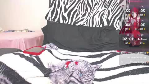 kim online show from February 2, 5:06 am