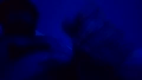 Snapshot of giuseppeciao206 chatting on December 15, 9:08 pm elen06 online show from December 15, 9:08 pm