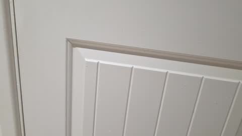 Gloscam online show from November 23, 11:15 pm