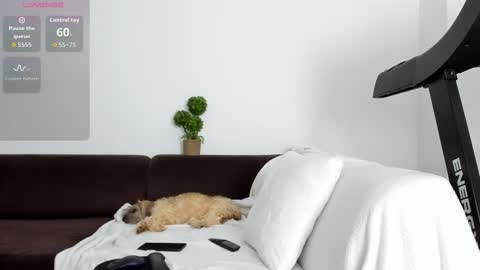 Alice online show from January 17, 10:35 pm