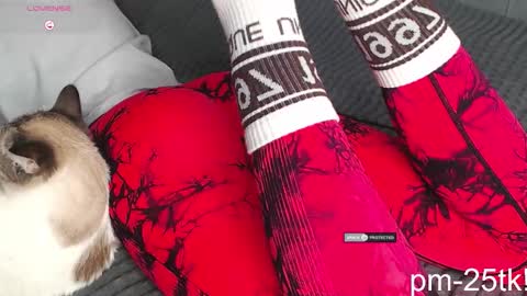 Snapshot of goddessemmmyy chatting on February 3, 1:49 pm Goddess EmmaBratt princess online show from February 3, 1:49 pm