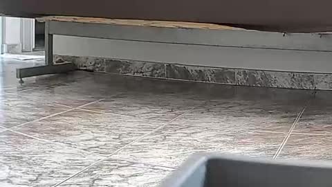 goddesshannahfeet_ online show from April 7, 4:40 pm