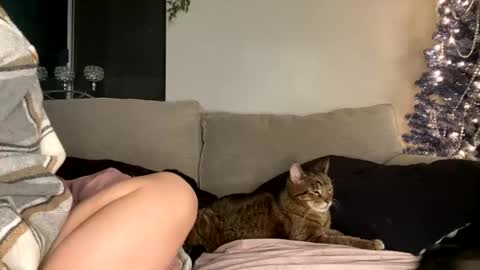 GoddessMayvn online show from December 29, 12:55 pm