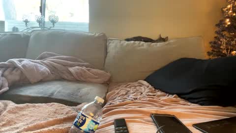 GoddessMayvn online show from December 29, 4:40 pm