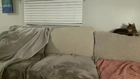 GoddessMayvn online show from January 30, 10:08 am