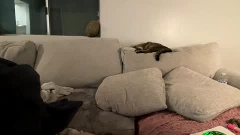 GoddessMayvn online show from February 3, 9:52 am