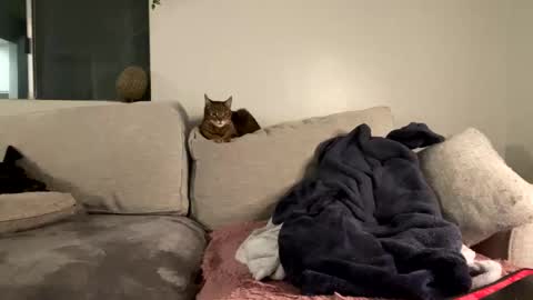 GoddessMayvn online show from February 8, 7:15 am