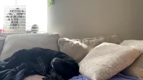 GoddessMayvn online show from February 17, 9:52 pm