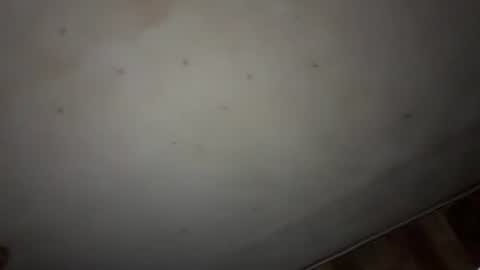 godseekingatheist online show from November 9, 1:59 am