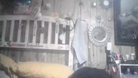 Celeste online show from January 17, 8:41 am