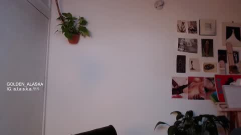 Alaska online show from October 20, 11:21 am