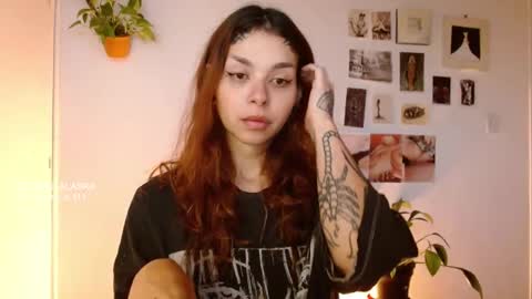 Alaska online show from October 29, 11:56 am