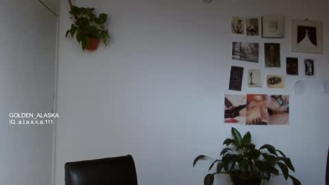 Alaska online show from November 9, 8:07 pm