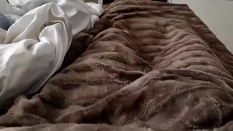 Snapshot of gozaderaxxx chatting on February 14, 8:42 am Hazme gozar online show from February 14, 8:42 am