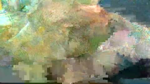 Snapshot of greatbiggs6969 chatting on January 2, 2:35 pm greatbiggs6969 online show from January 2, 2:35 pm