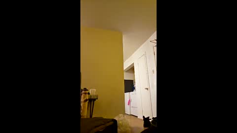 Snapshot of greenvertgo chatting on December 15, 12:59 am greenvertgo online show from December 15, 12:59 am