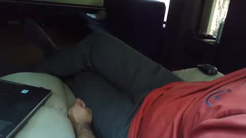 Grey Stud online show from February 20, 9:00 am