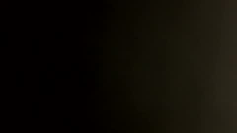 Snapshot of greyvan96 chatting on February 2, 2:21 am Perfectlyaveragesavage online show from February 2, 2:21 am