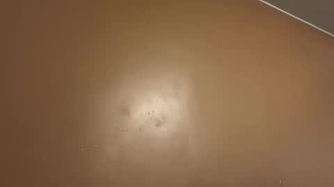 Snapshot of greyvan96 chatting on February 4, 10:21 am Perfectlyaveragesavage online show from February 4, 10:21 am