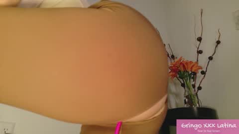 Snapshot of gringo_xxx_latina chatting on November 20, 3:50 am gringo_xxx_latina online show from November 20, 3:50 am