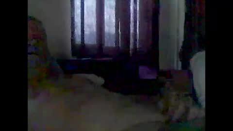 grittslappa online show from December 14, 3:12 am