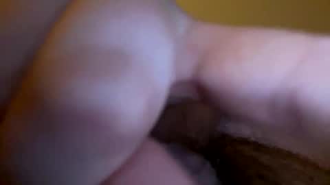 groblol26 online show from January 15, 7:35 am