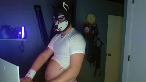 Alpha pup online show from October 8, 9:29 am
