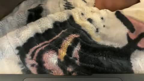 Snapshot of gumbywanna chatting on May 4, 6:31 am gumbywanna online show from May 4, 6:31 am