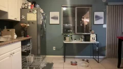 guyduder online show from November 13, 2:54 am