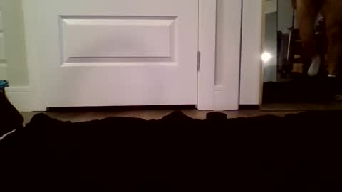 Guy Spartan online show from January 12, 5:07 pm