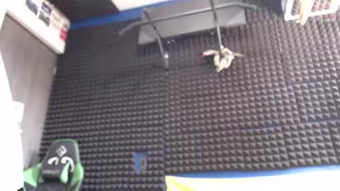 Snapshot of gymbro42 chatting on August 7, 5:37 pm Gymbro42 online show from August 7, 5:37 pm