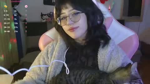 Hachiko online show from July 28, 1:23 am